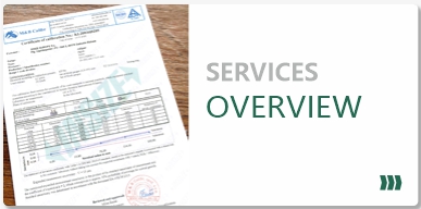 services overview